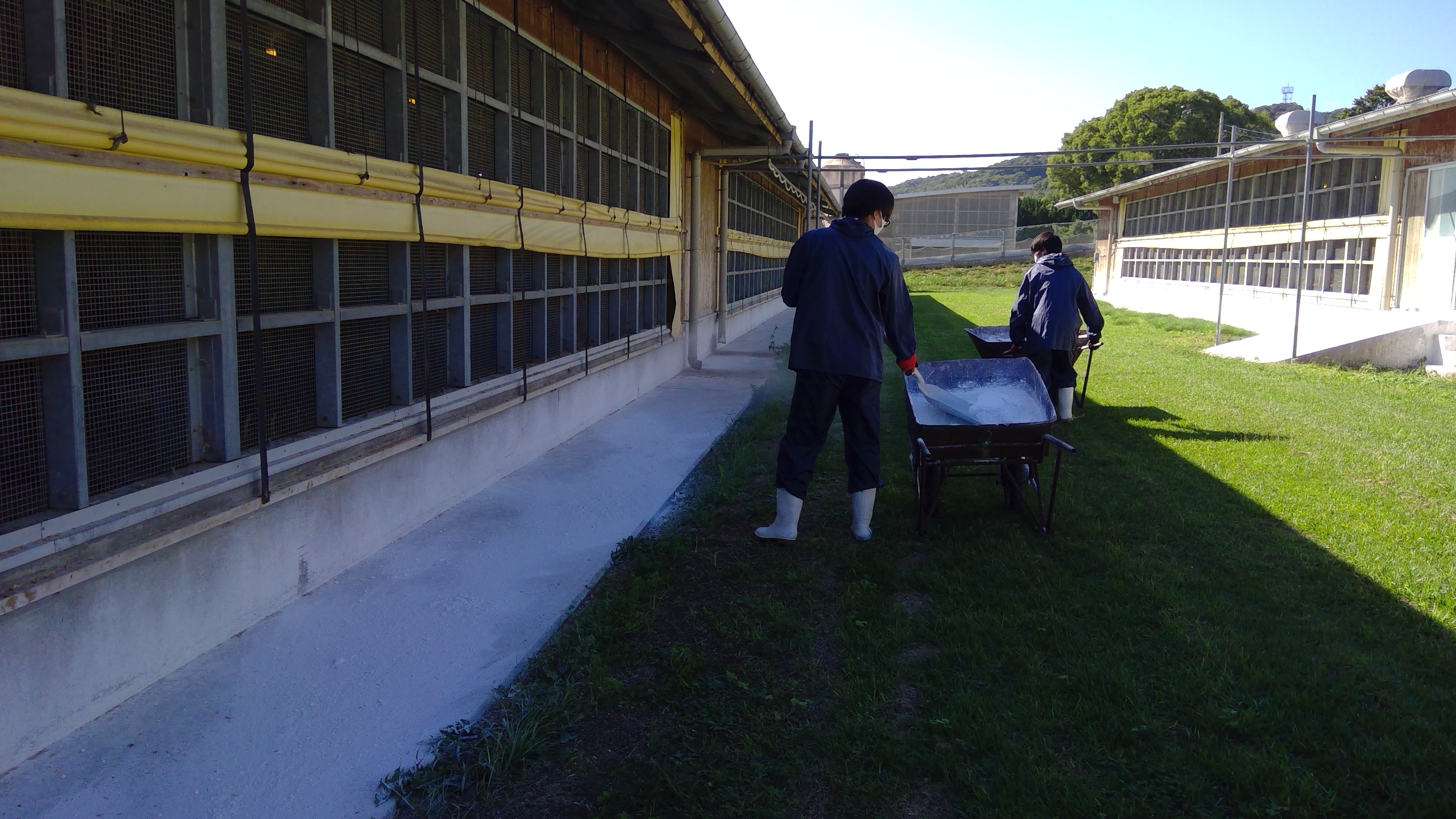 WIN_20251023_13_39_47_Pro