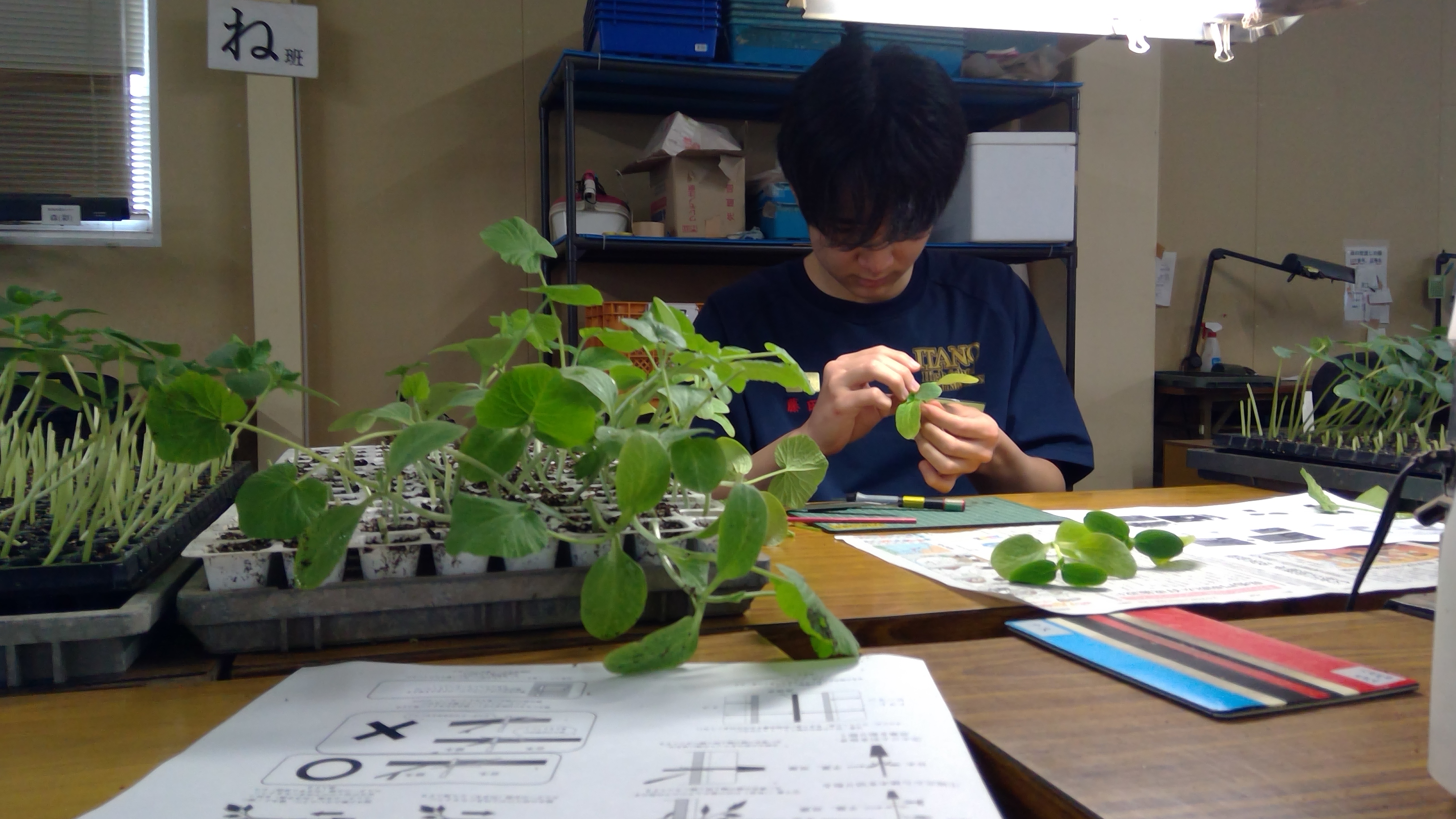 WIN_20251022_14_21_36_Pro