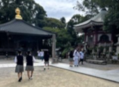 お接待１トリミング